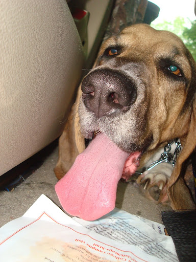 Official Missouri StL KC etc too Picture Thread St 